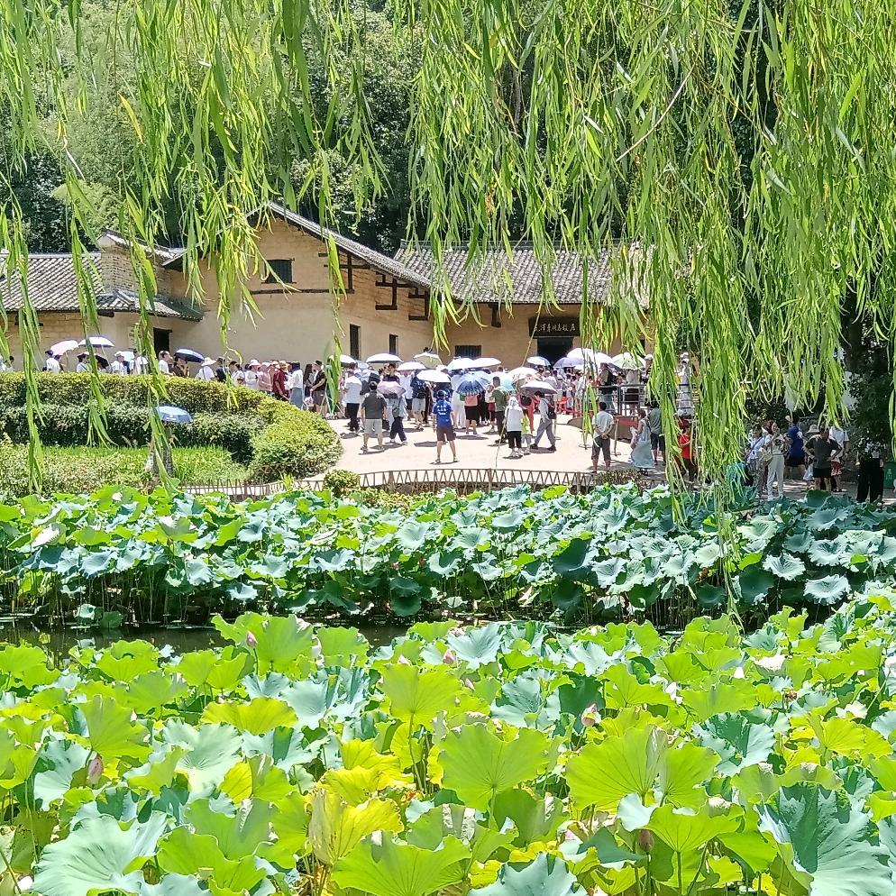 从头越
