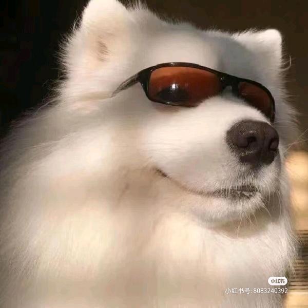 右脚指甲扣腚眼子闻味