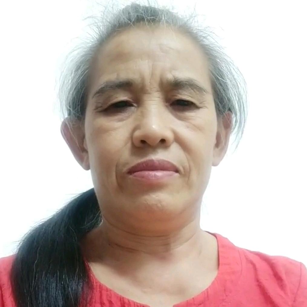 一枝梅花开，