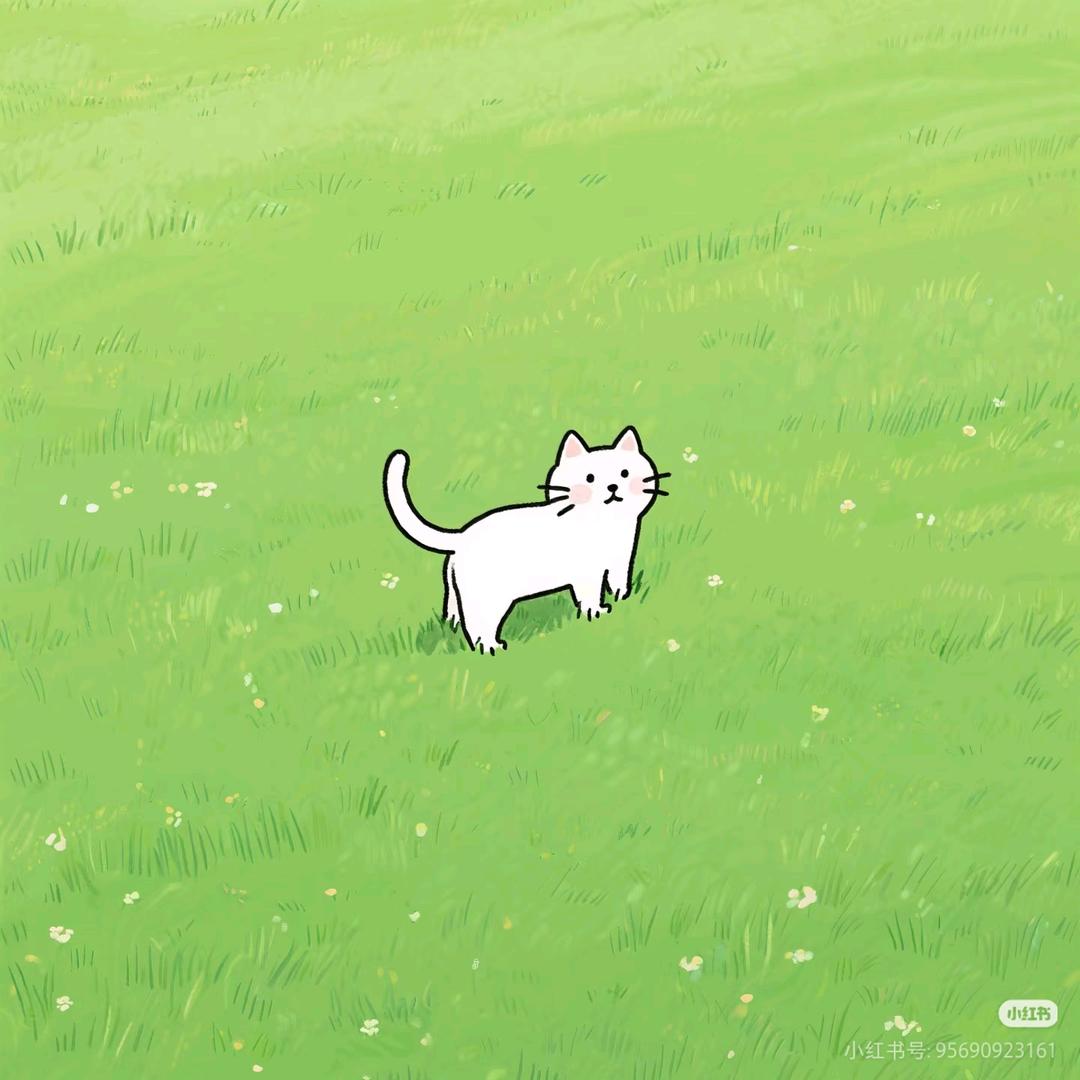 Tsuki