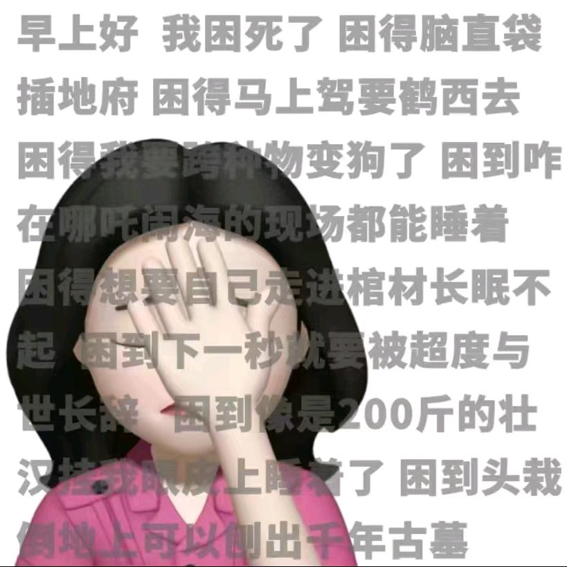 风姿
