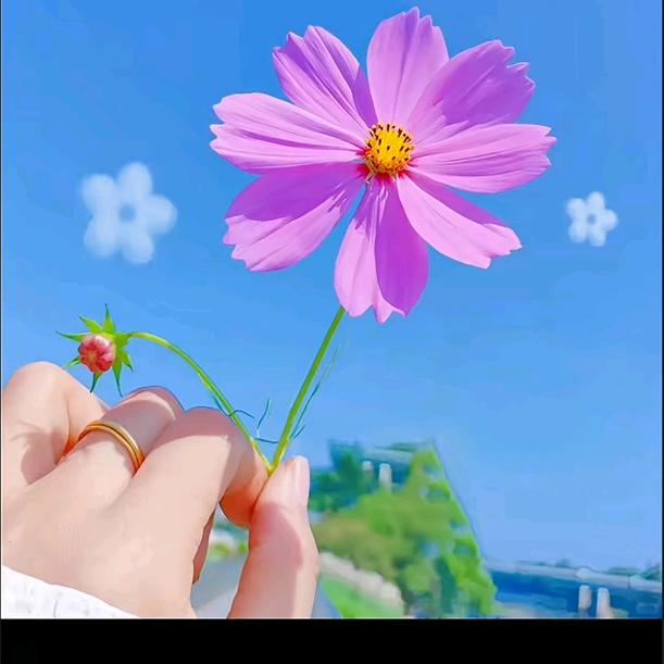 对方正在发财中……