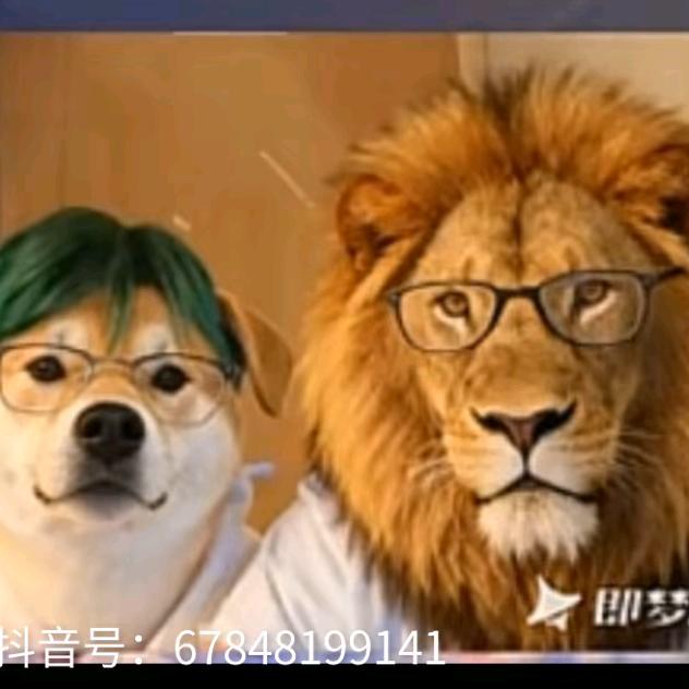 🌈仅此而已