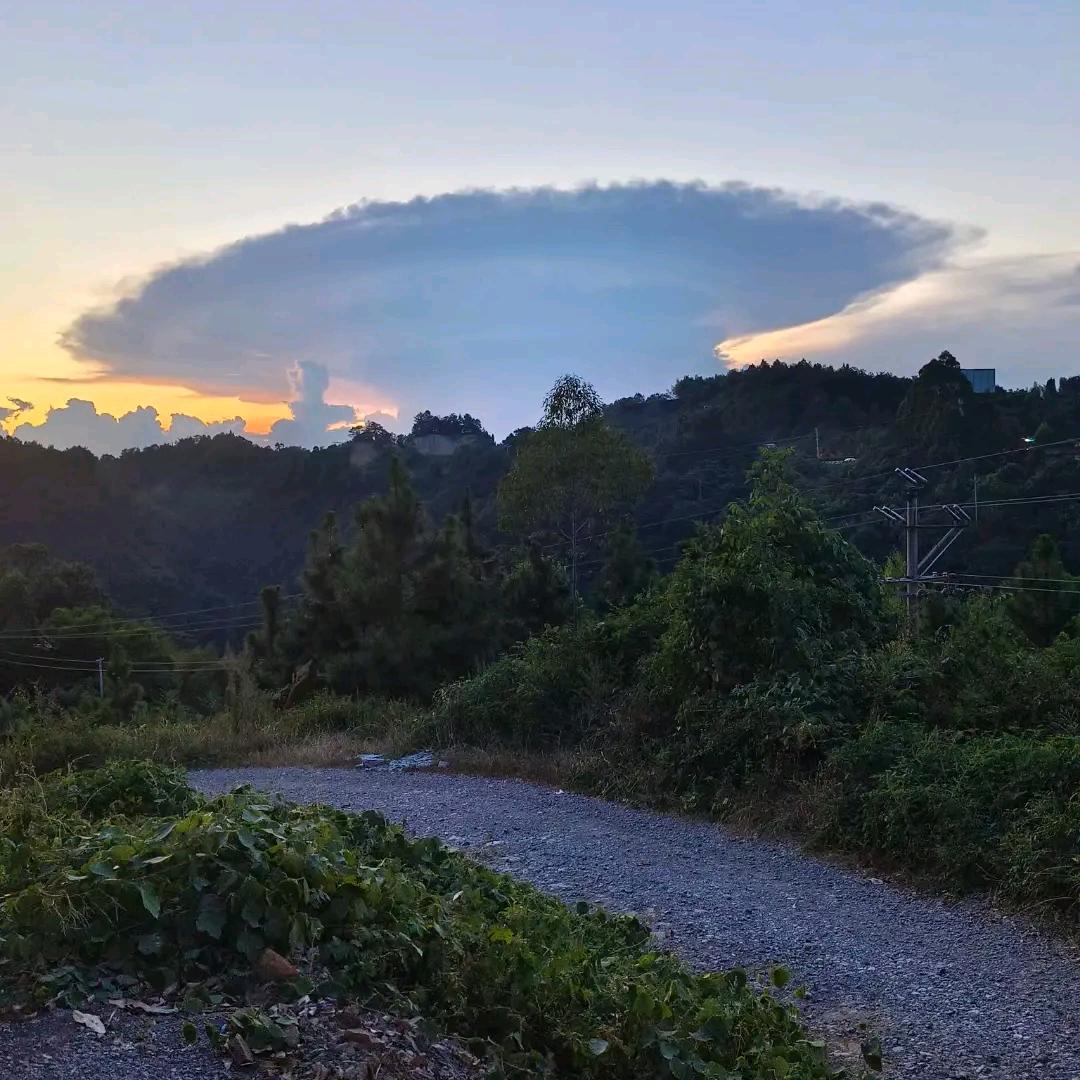 雙喜牌香沺
