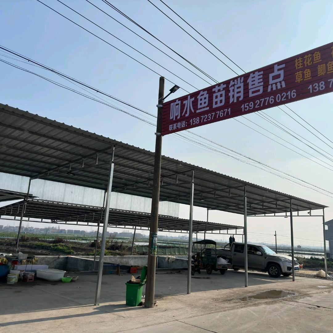 监利市响水鱼苗场