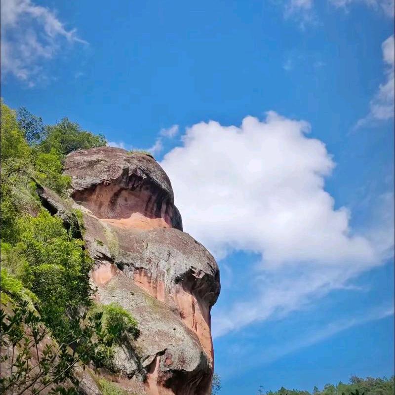 书香阁