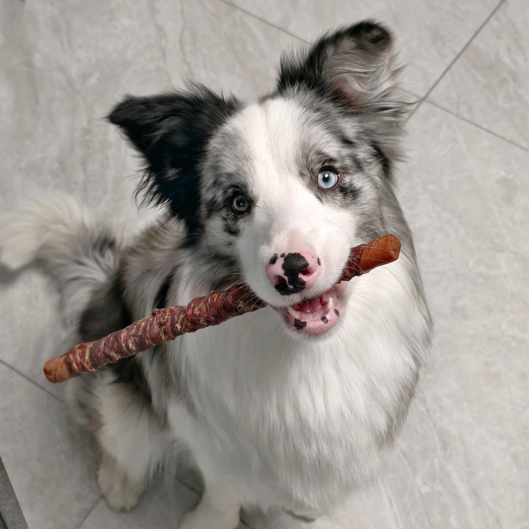 布布丁cookie