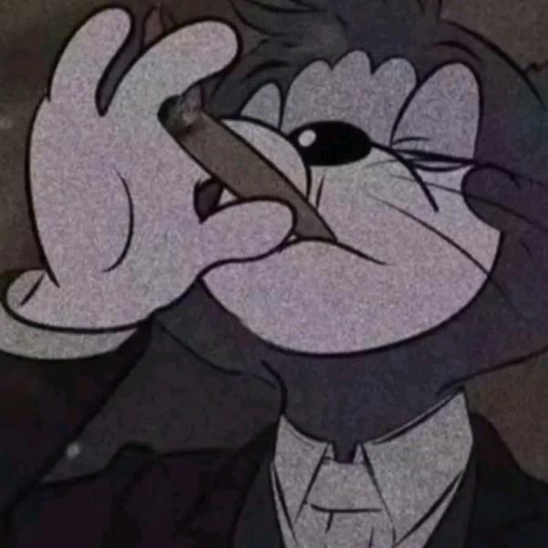 凌晨三点睡😴