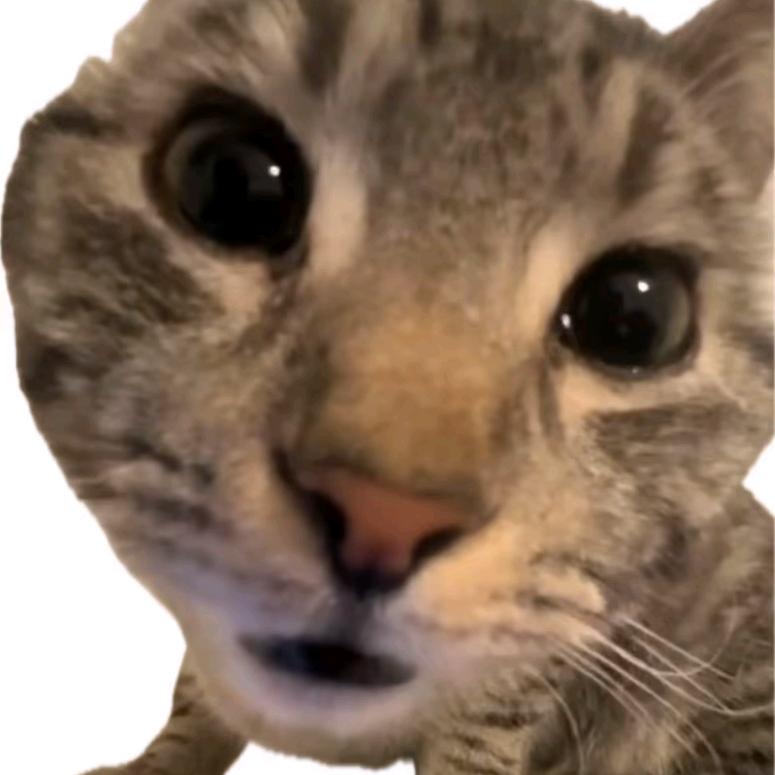 墨莫
