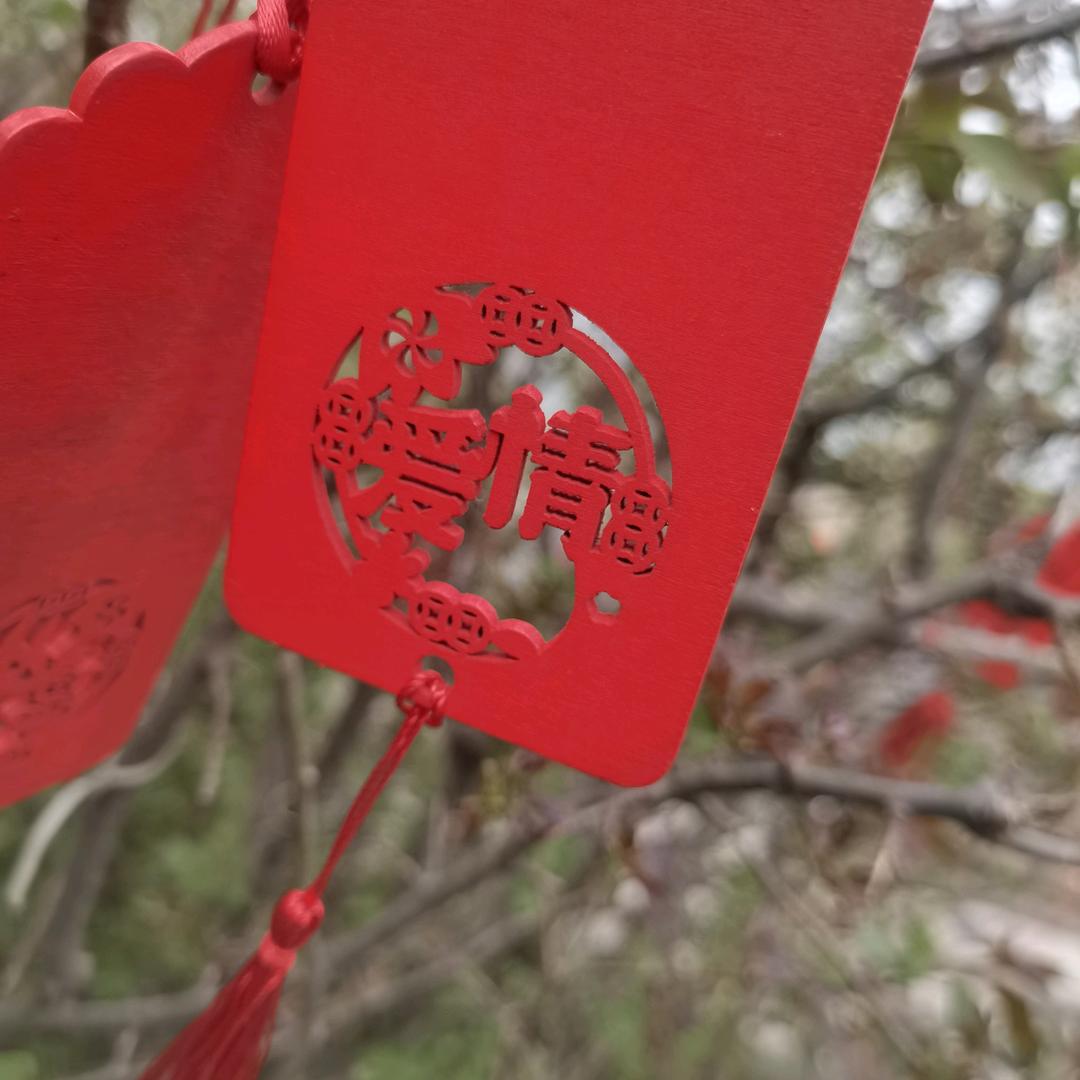 开开心心