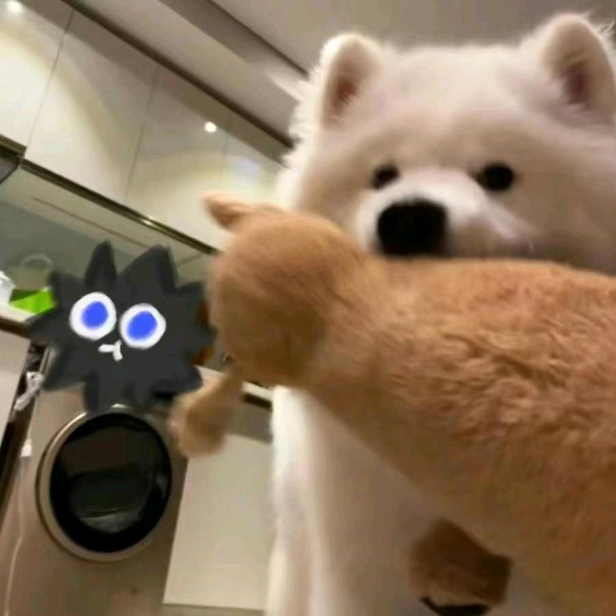 AY
