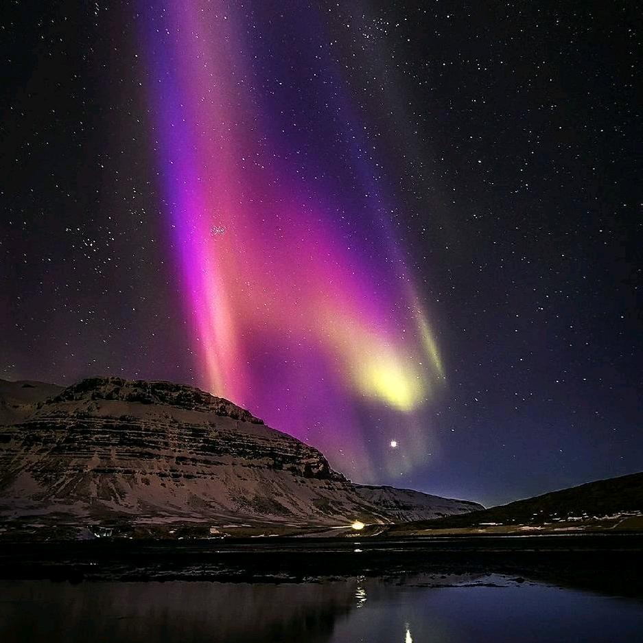 爱吃鱼的老帅哥