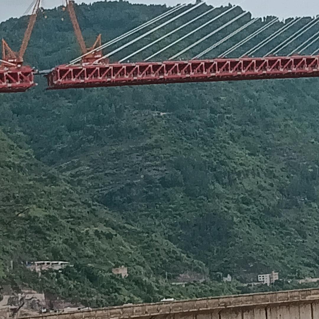 🍎🍎🍎🍎🌷🌷🌷🌷