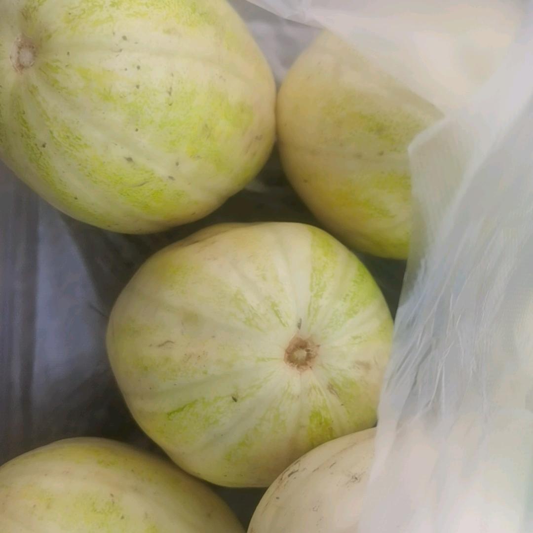 思钱想厚头像
