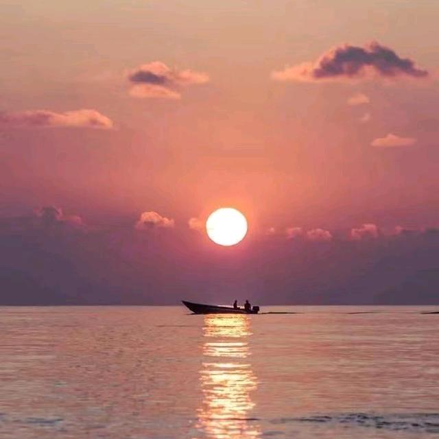 🌸随遇而安🌸