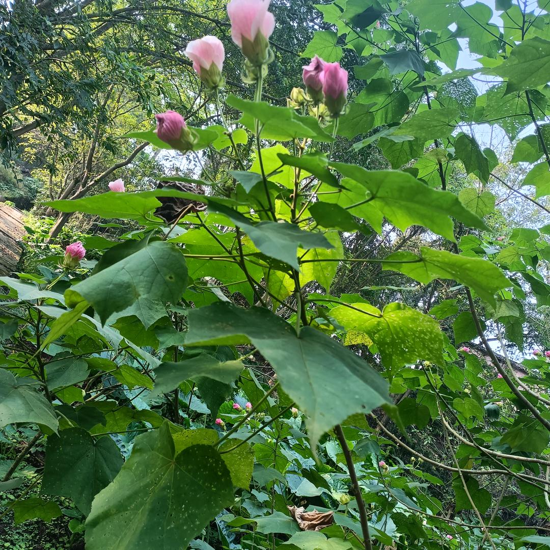 一切💞随💗缘