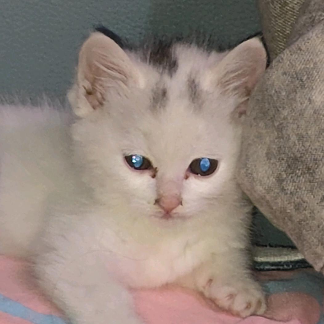 Кристина