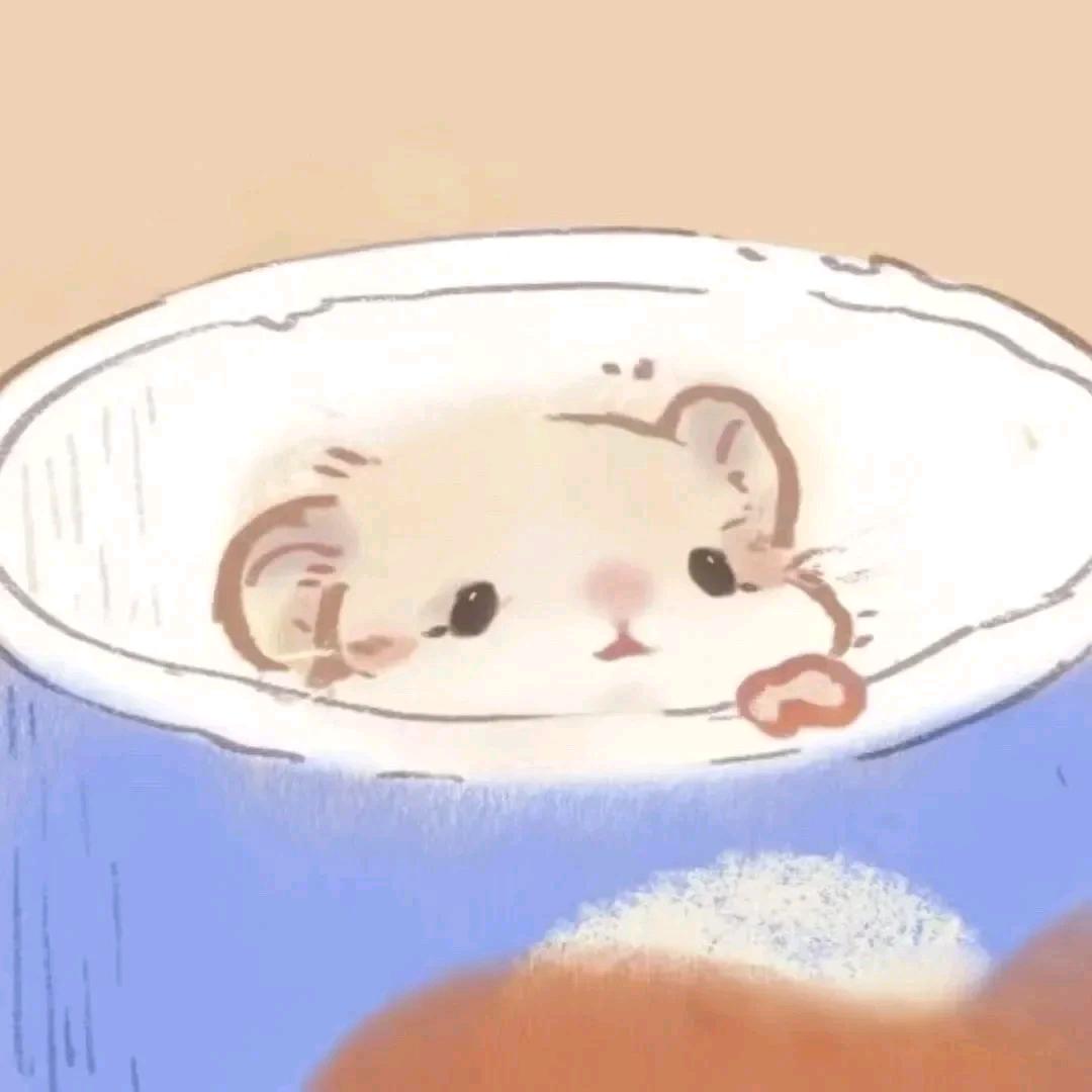 然然可可