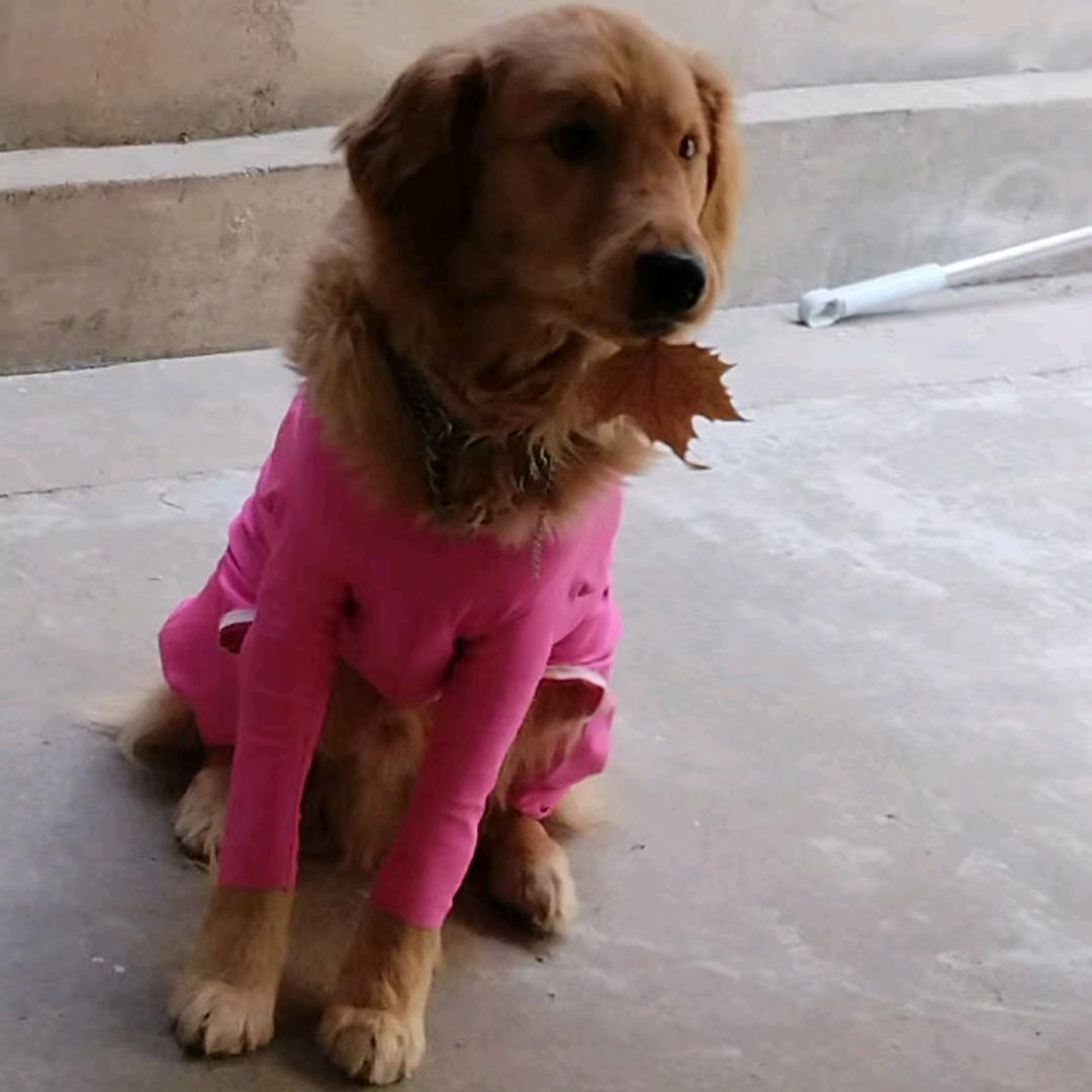 落满尘埃的回忆