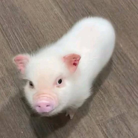 某不知名的小刘同志