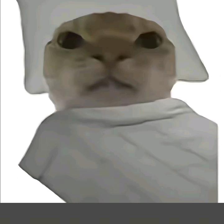 Ssigsvsj
