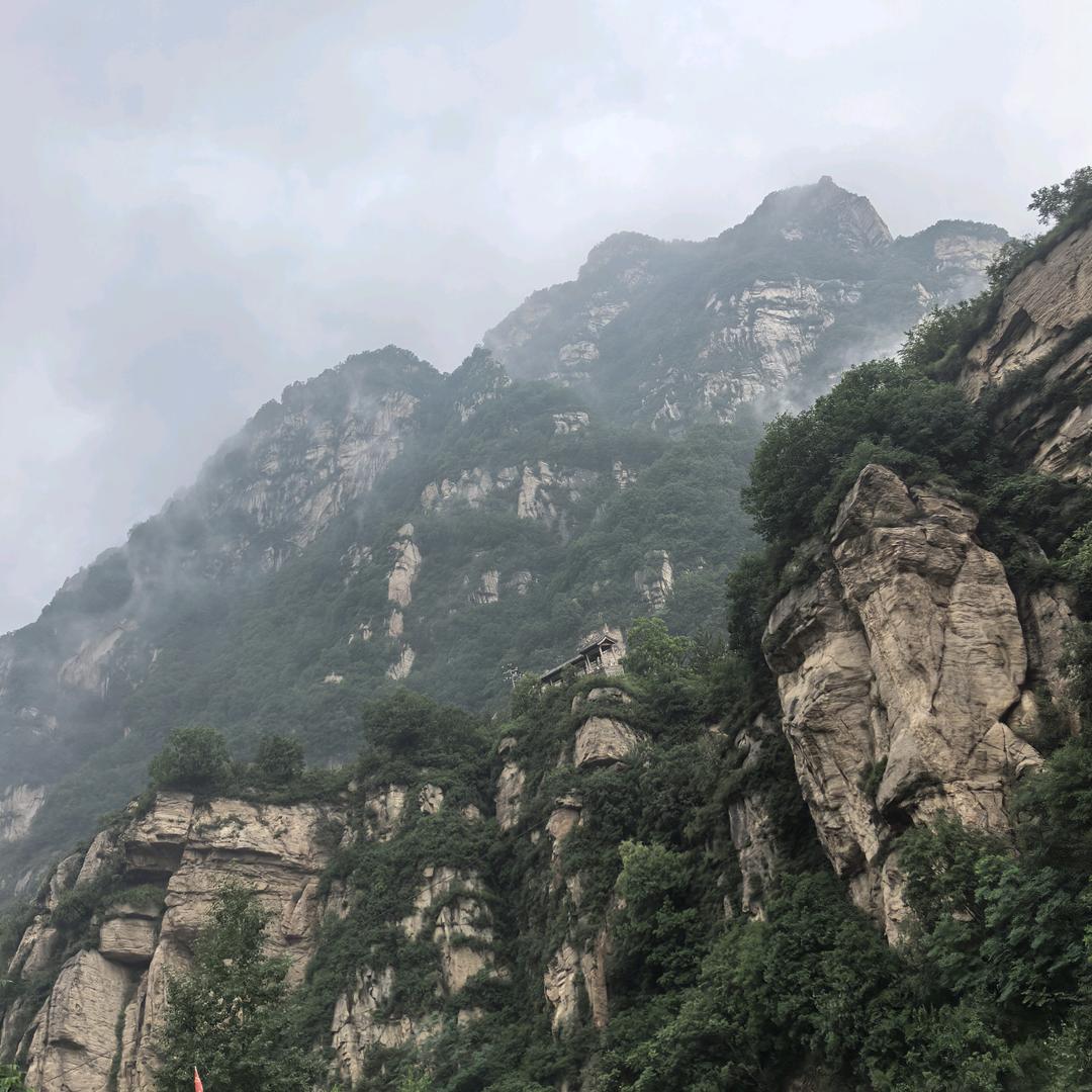 小彬彬