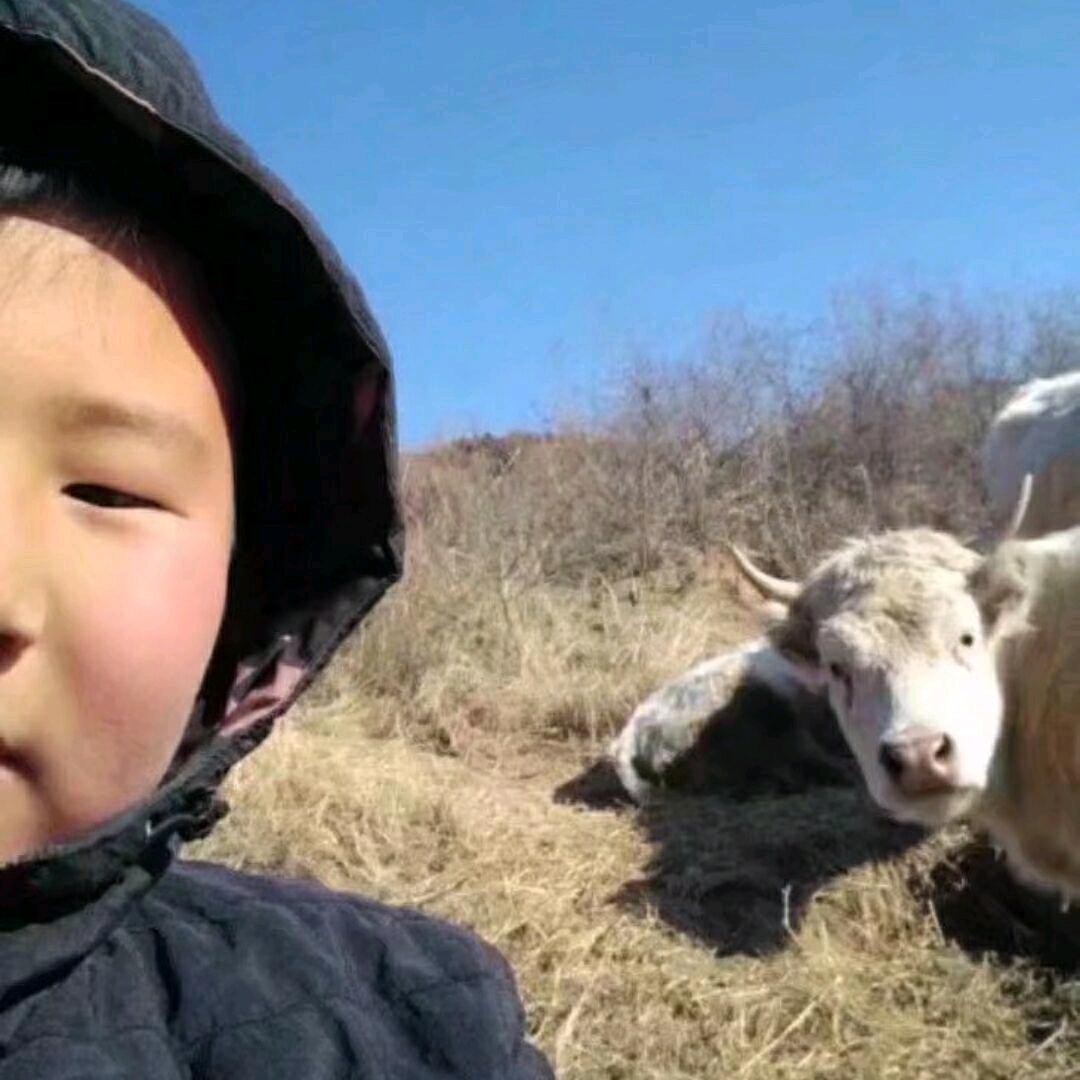 无影脚   踹踹