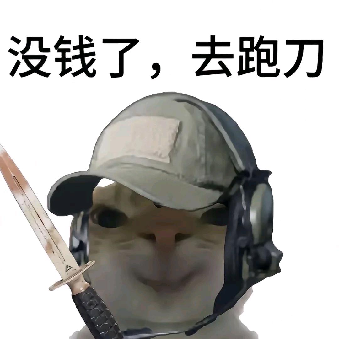 一只跑刀鼠鼠（三角洲行动）