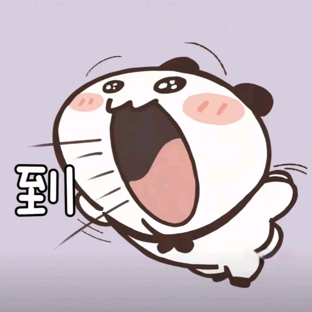 你看到我的小熊了吗