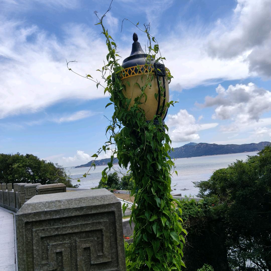 万邦汉方艾草贴