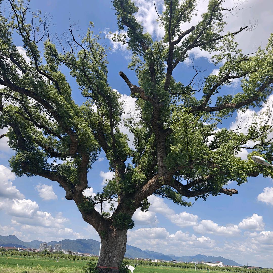 ²º²⁵༼ཽ༉ꫛ普通人