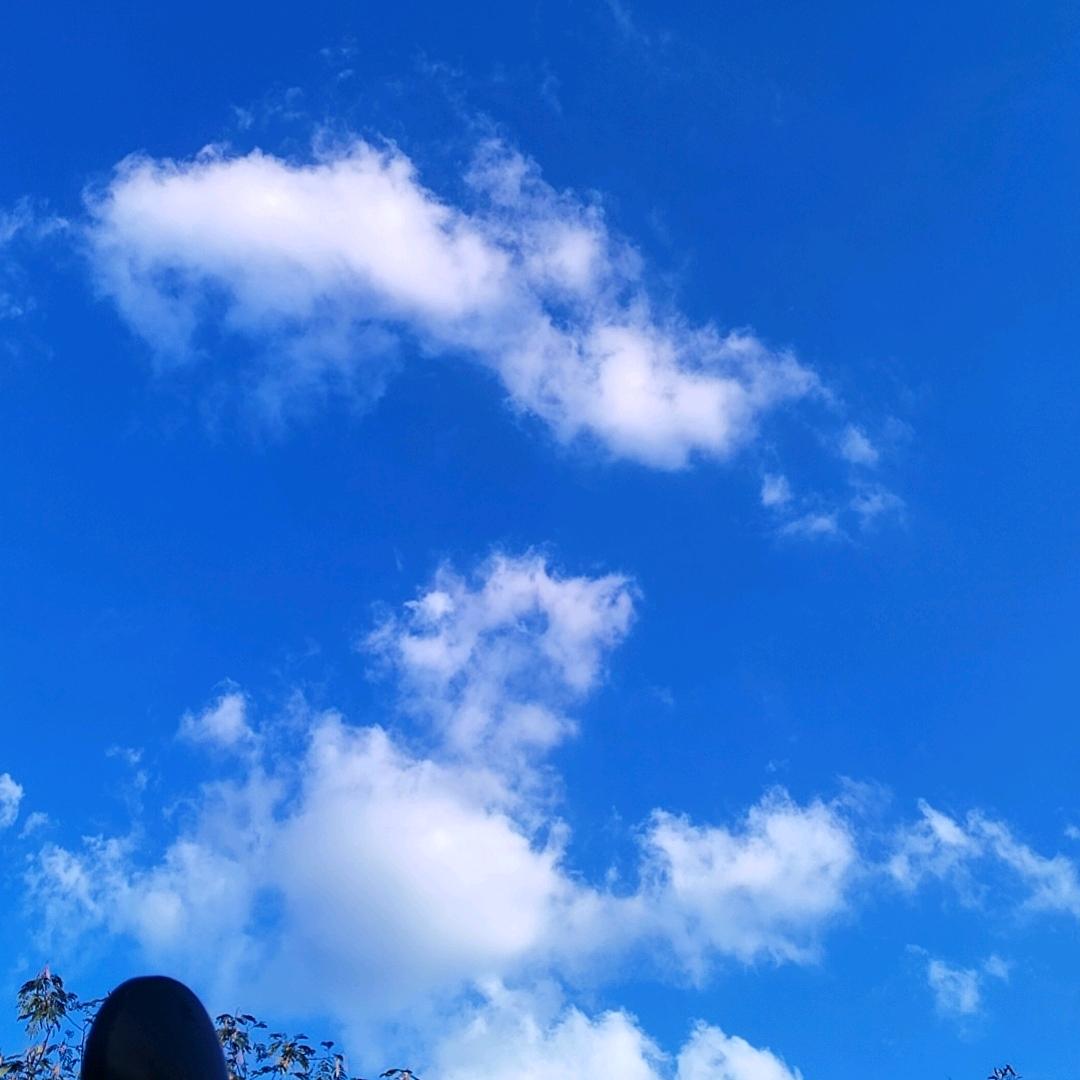 追求