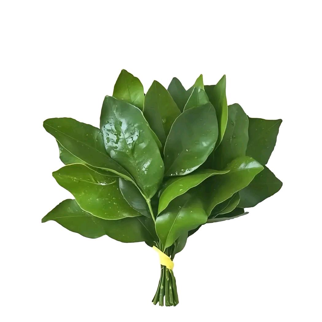 栩愿！！！嘿嘿