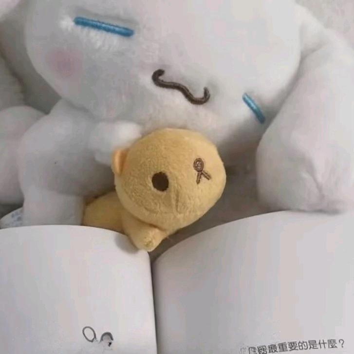 看哈 qio qio（和宝宝好好睡觉版）