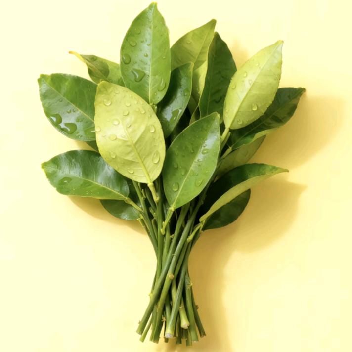 三三美纹杭州总部