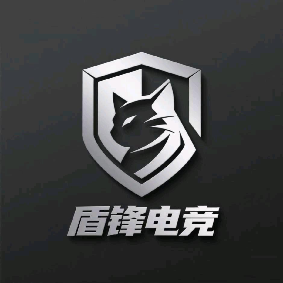 盾锋电竞手游分管店长小天（夜班客服）