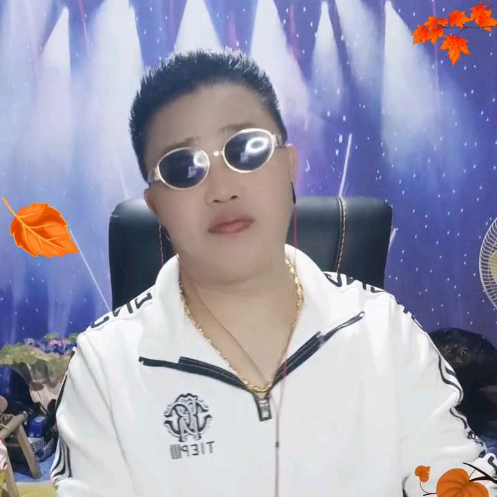 赵二哥娱乐直播