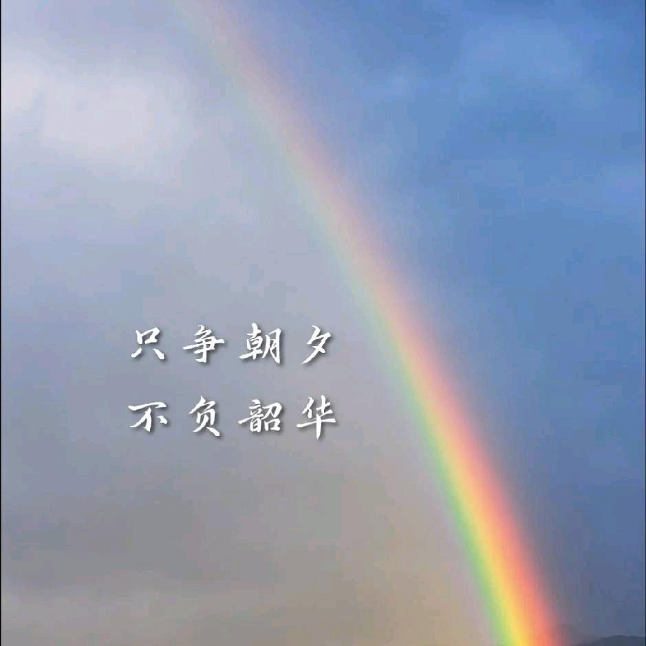 杰鑫