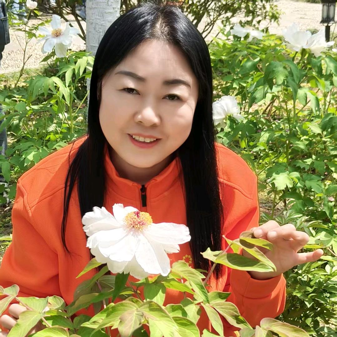 聚盟宇赢盟聚张春雨湖北山东成都重庆专线