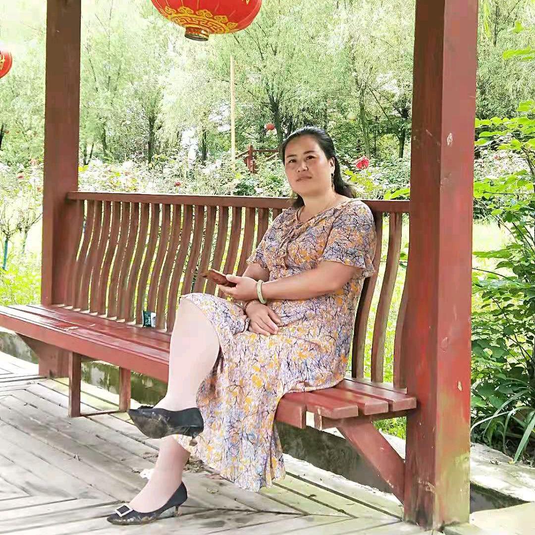 巫溪菊花