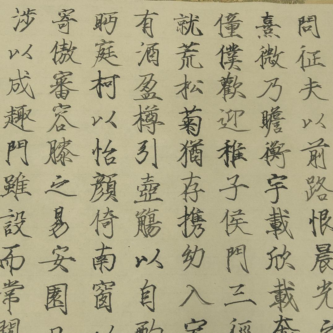 萝卜杰