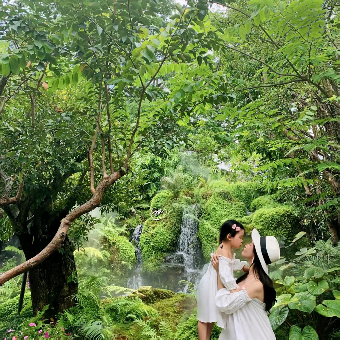 朵妈＆直播切片(花开富贵)