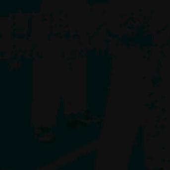 ·ZzX