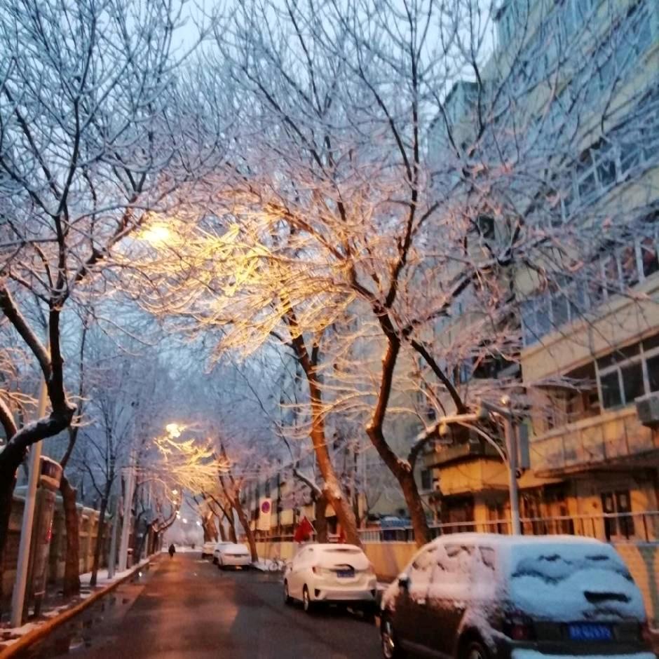 一个文艺的小青年