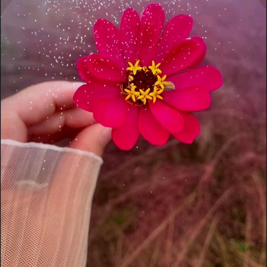 湖北婷婷