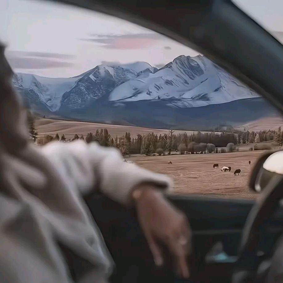 悦悦-