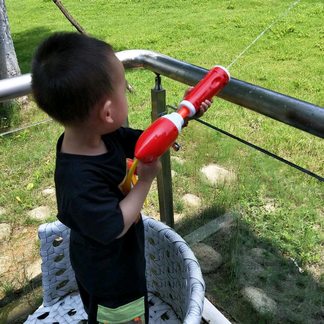 西北游子