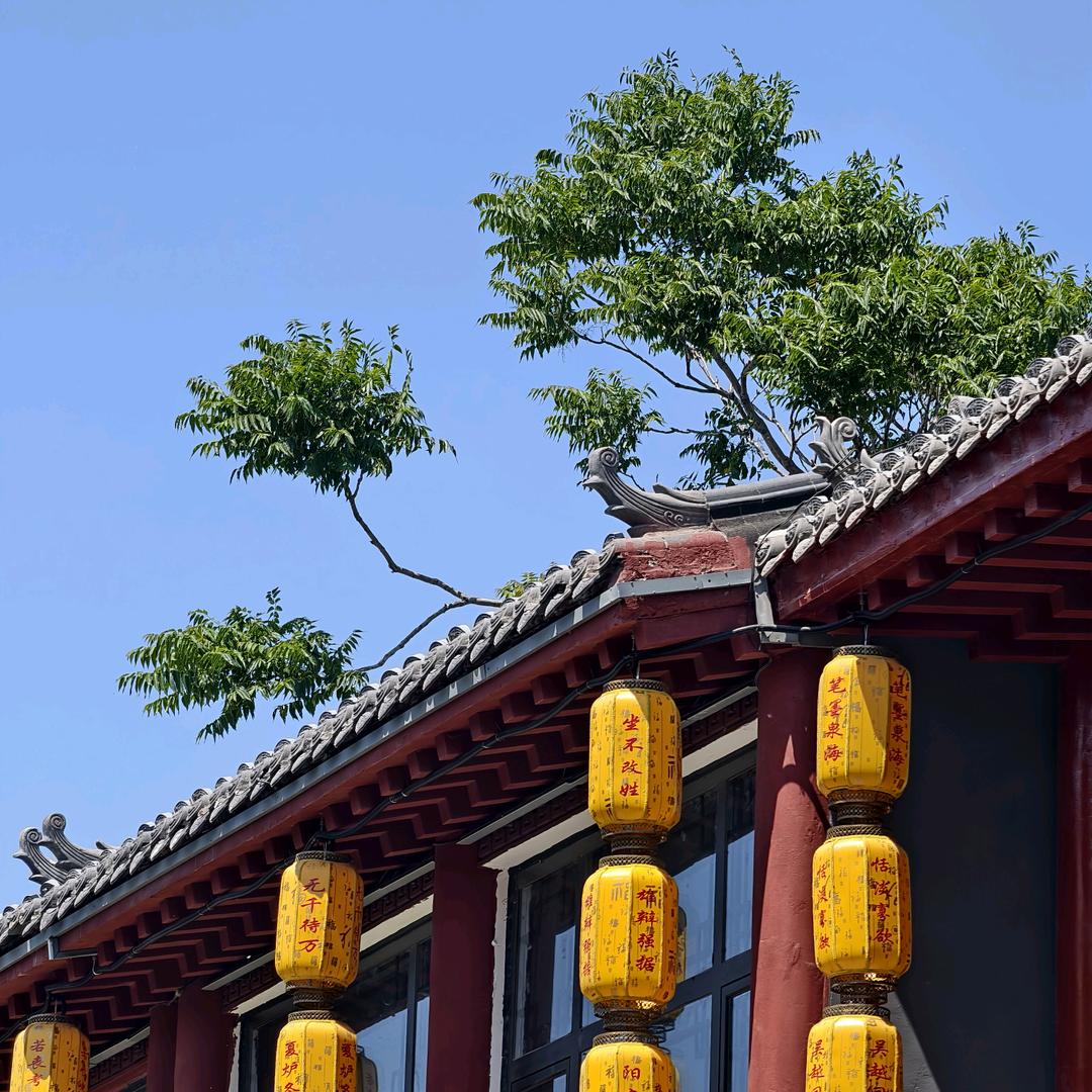 哩哩的助农日记