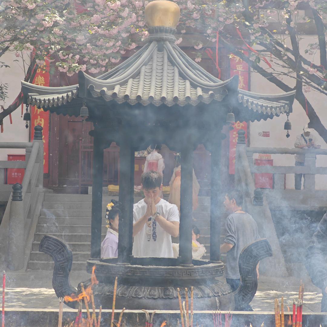 ζ成全了舍得