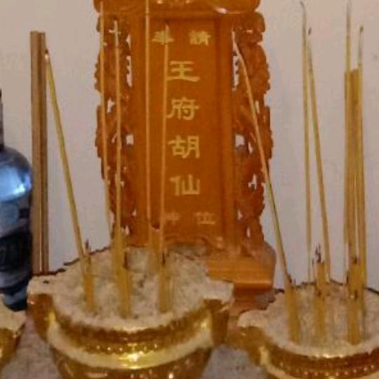 代师修仙，双面人